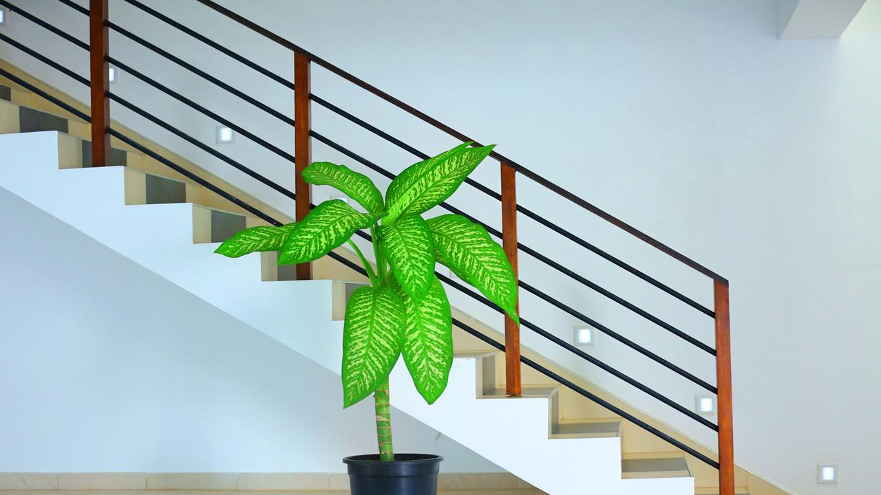 Twenty Two Binaweli Hotel Weligama Ngoại thất bức ảnh